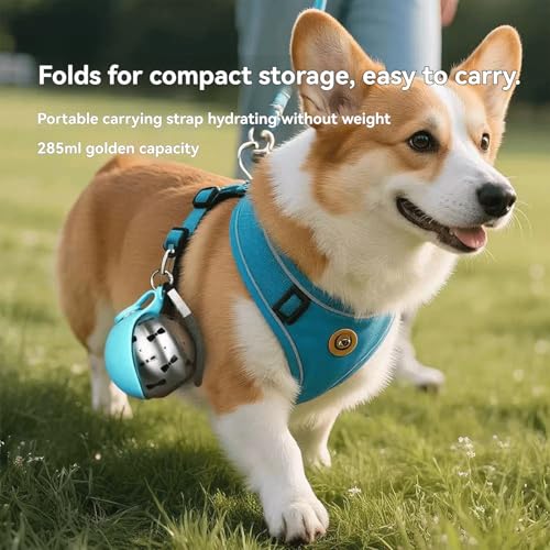 Portable Dog Water Bottle