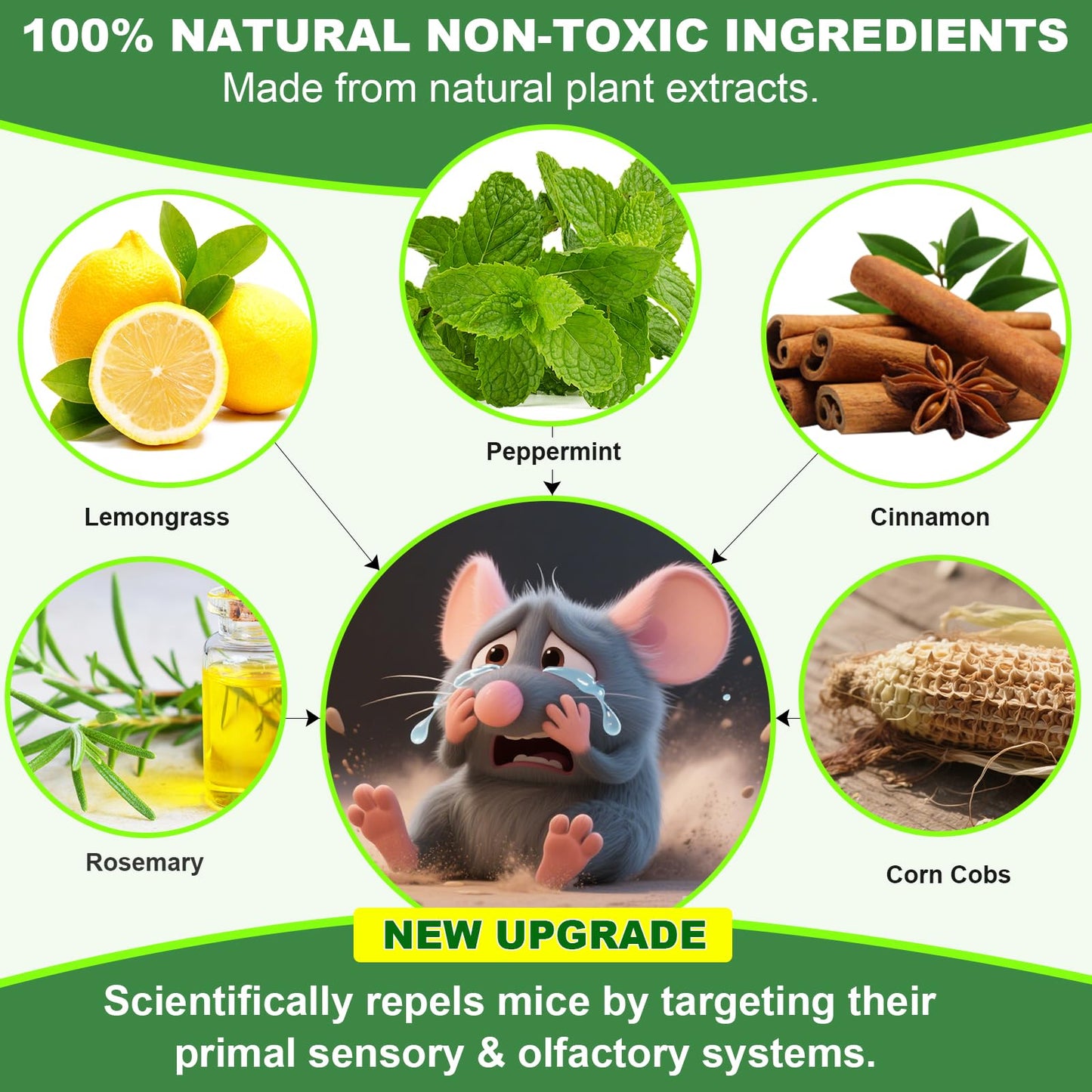 Mouse Rodent Repellent