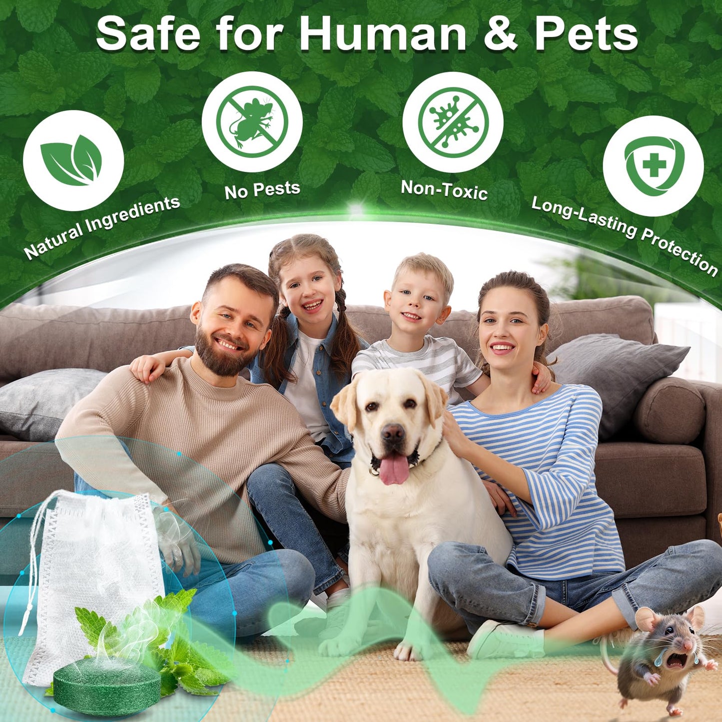 Mouse Rodent Repellent