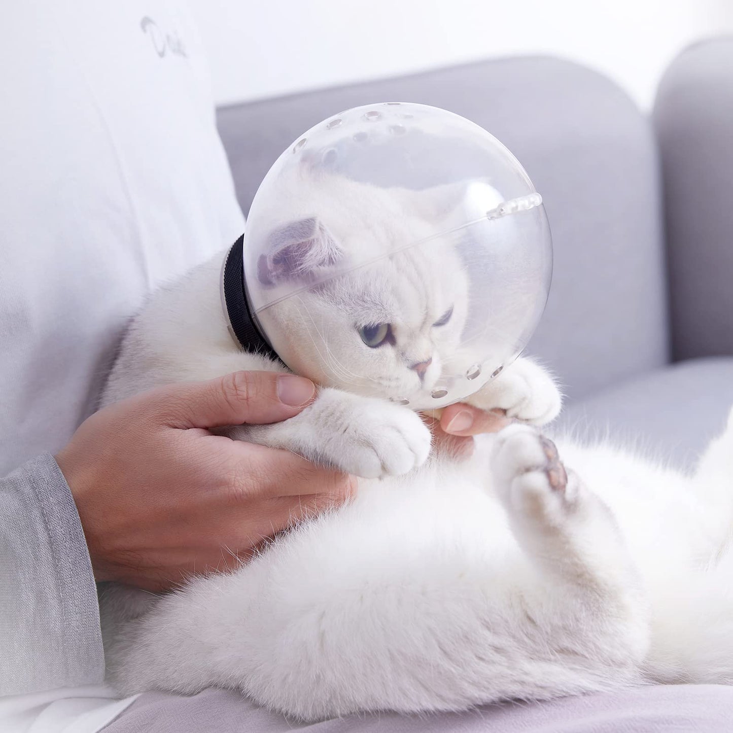 Cat Muzzle