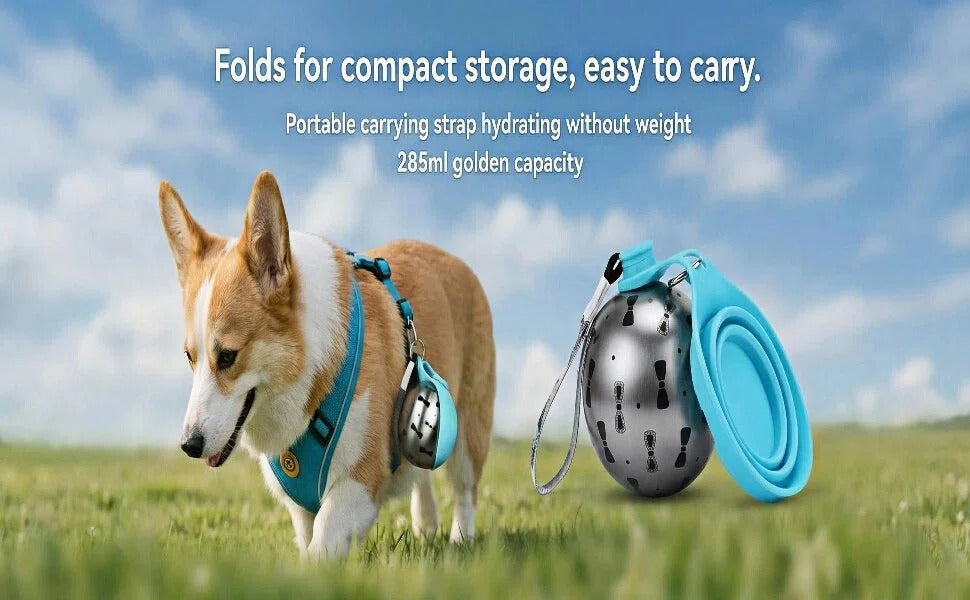 Portable Dog Water Bottle